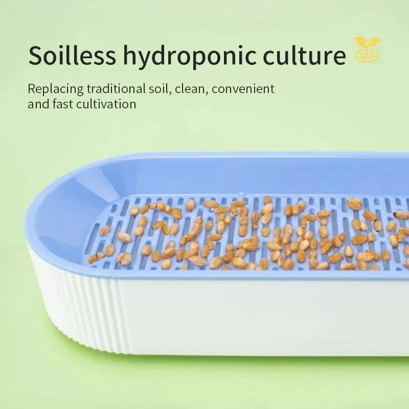 Hydroponic Soilless Planting Cat Grass Pot
