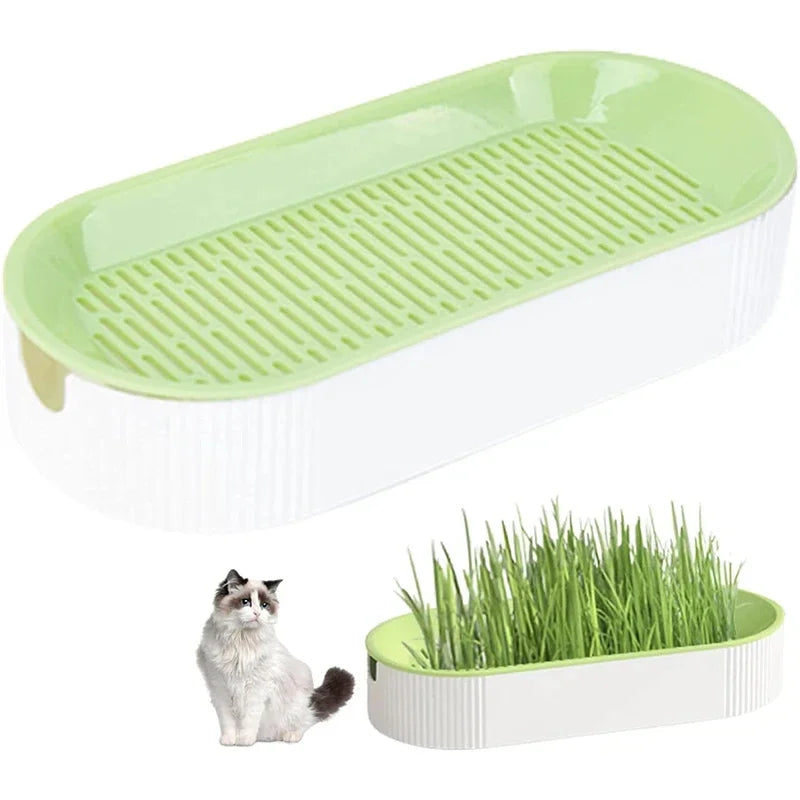 Hydroponic Soilless Planting Cat Grass Pot