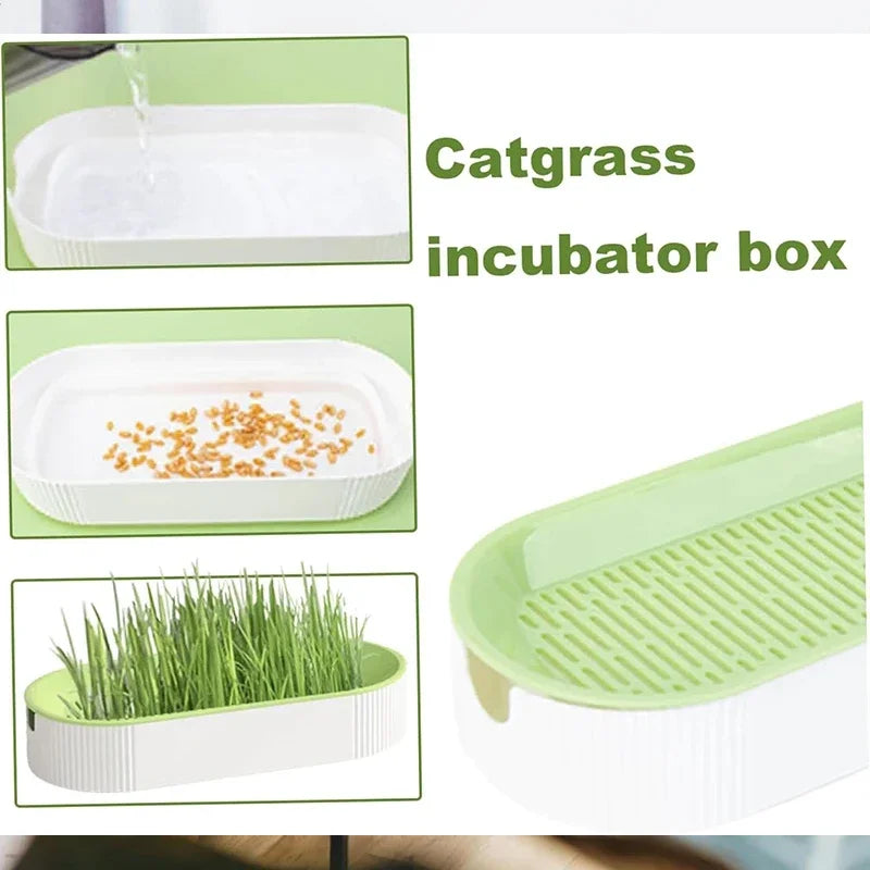 Hydroponic Soilless Planting Cat Grass Pot