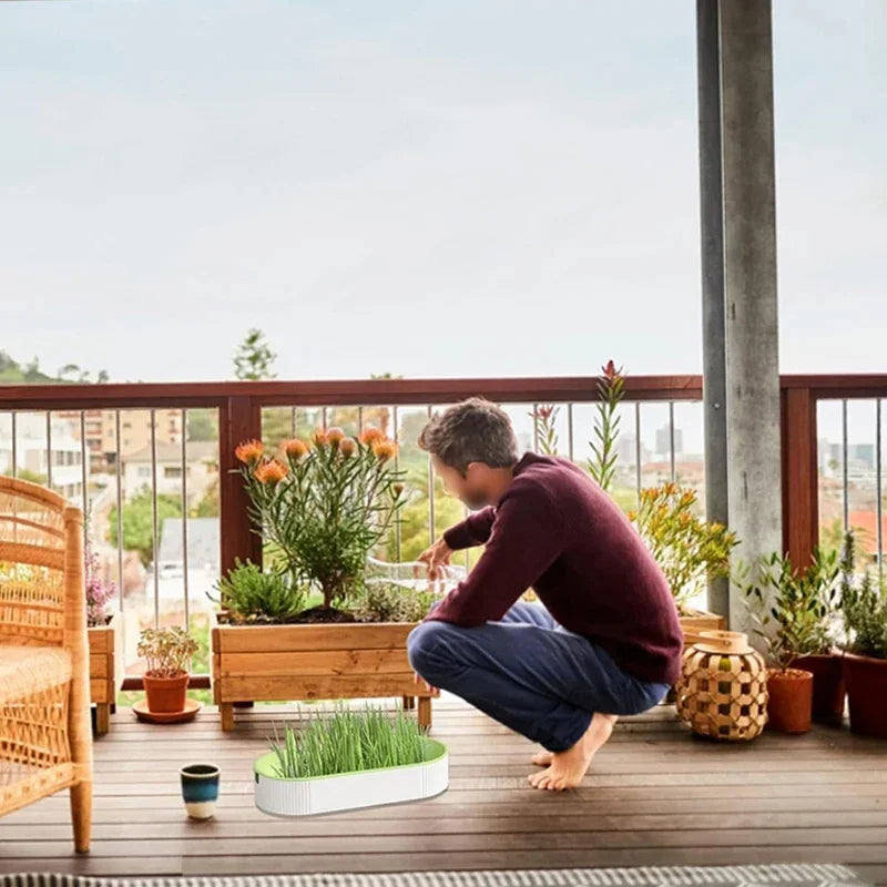 Hydroponic Soilless Planting Cat Grass Pot