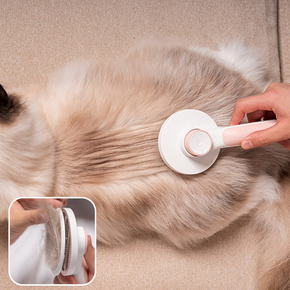 Cat Hair Cleaner Pet Accessories
